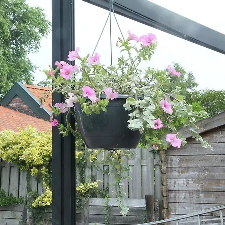 Casa vacanze Holiday Thuis In *